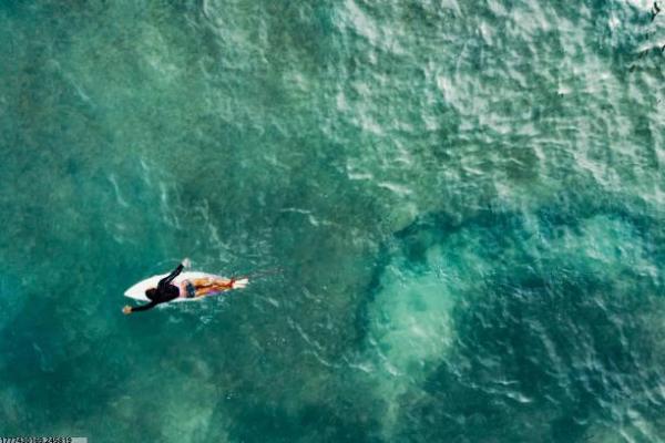 哪些体育项目不需要强大的体能基础？(图1)